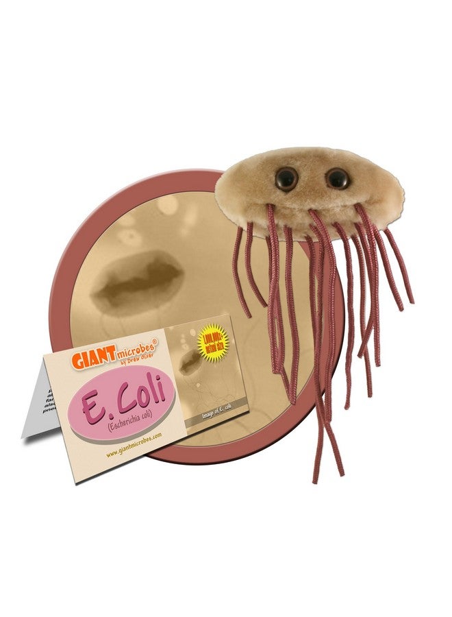 Giant Microbes GIANTmicrobes E. Coli Plush - Learn About The Importance of Gut Health and Food Safety with This Unique Fun Gift for Families, Teachers, Chefs, Doctors, Gastroenterologists, Students and Scientists - Image 2
