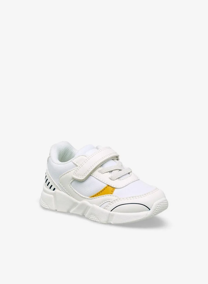 Barefeet Boys Hook & Loop Sneakers