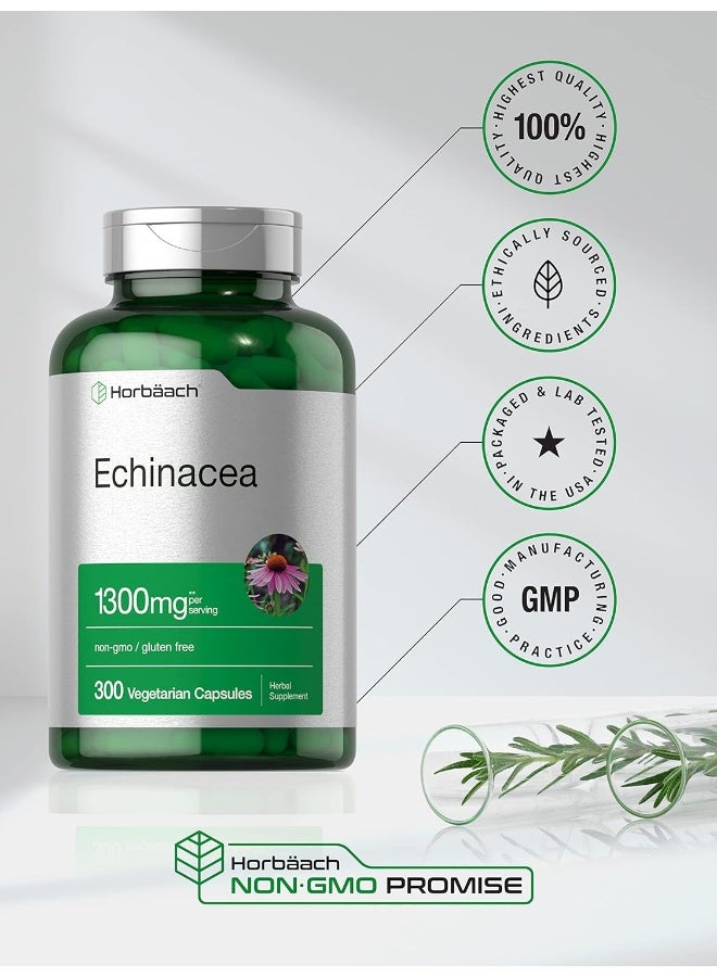Horbaach Horbäach Echinacea Extract Capsules 1300mg | 300 Count | Vegan, Non-GMO, Gluten Free Supplement - Image 5