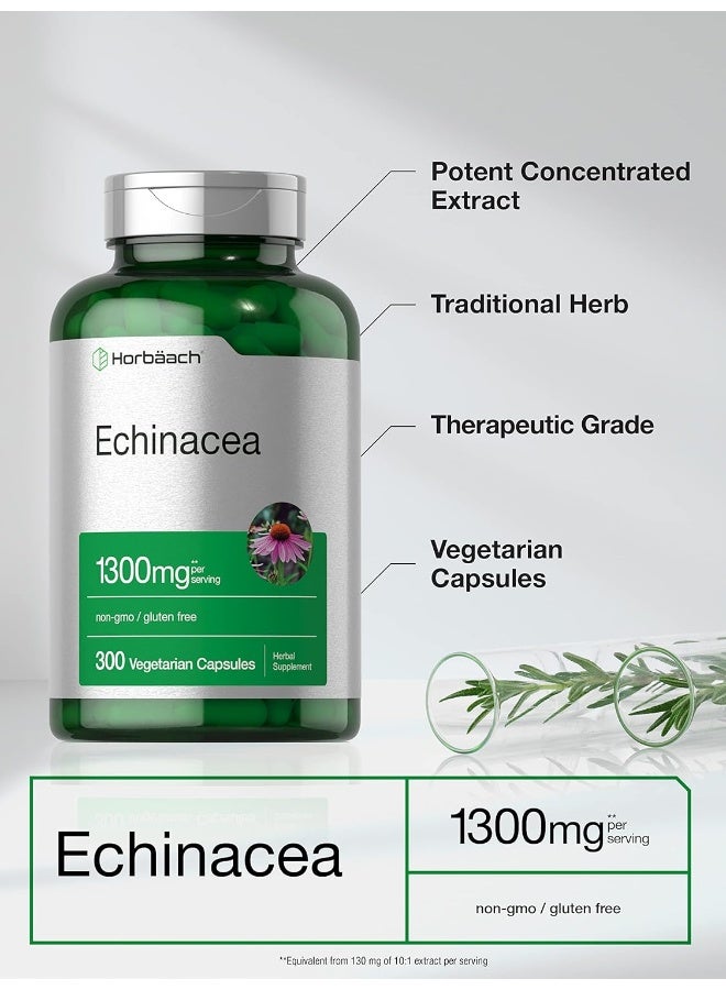 Horbaach Horbäach Echinacea Extract Capsules 1300mg | 300 Count | Vegan, Non-GMO, Gluten Free Supplement - Image 3