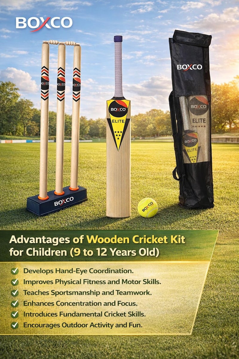 Boxco Elite Club Cricket Kit with Wooden Popular Willow Cricket Bat, 3 Stumps, 2 Bails, Tennis Ball, Stand, Carry Bag (Age Group 9 to 12) - Image 3