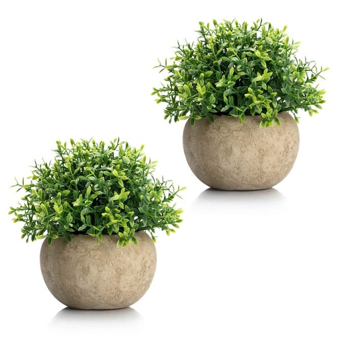 2Pcs Mini Artificial Boxwood Topiary Faux Plants Indoor Small Fake Plants Decor Magnolia Home Office Desk Cubicle Farmhouse Kitchen Bookshelf Bedroom Bathroom Decor Aloe Vera Zen Garden