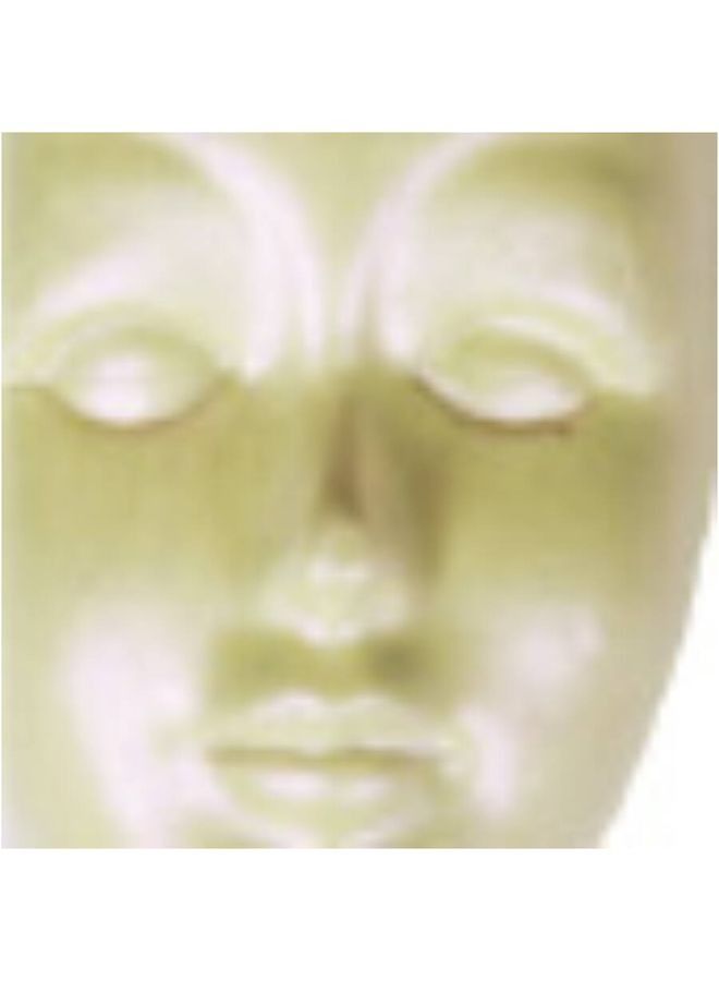 بينتارت طلاء أكريليك بتأثير لؤلؤي الحرباء 50 مل أرجواني أخضر - Image 2