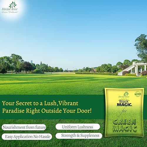 DIVINE TREE Black Magic Lawn Fertilizer for Lush Green Grass - Organic Fertilizer for Healthier, Greener Lawn Grass - Perfect Fast Acting Nutrition for Your Lawn Grass (1kg) - Image 5