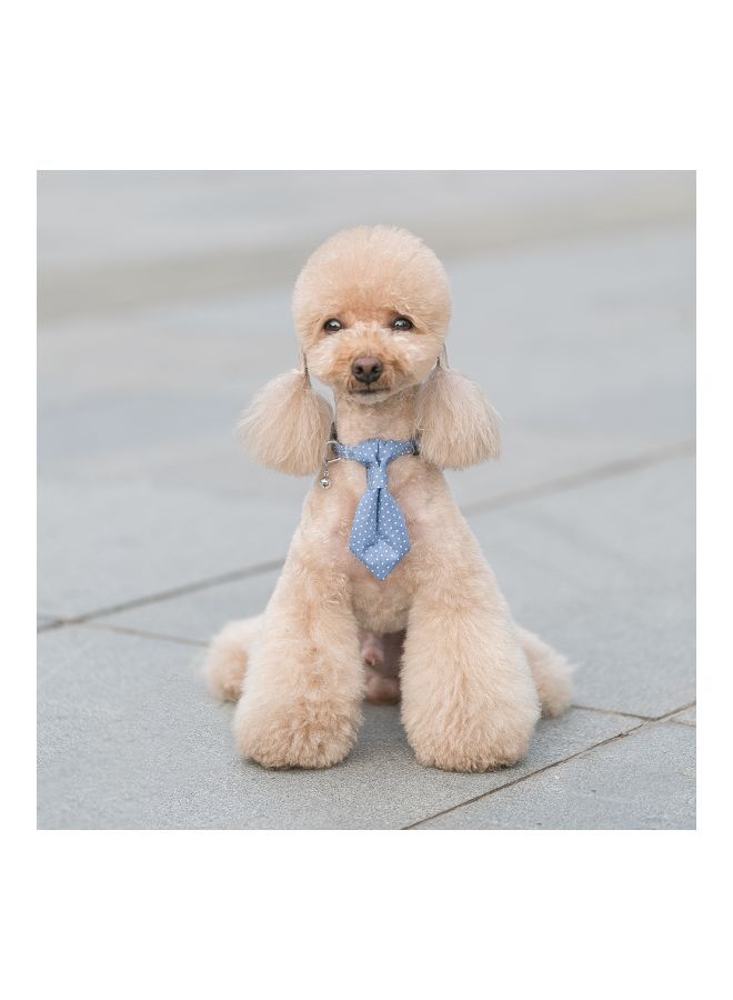 إسكدنيا طوق فني من القماش للكلب مزود بحزام أزرق/ أبيض - Image 4