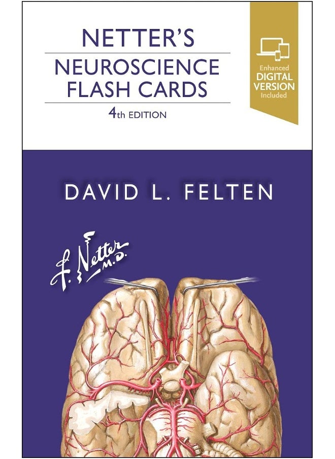 Netter's Neuroscience Flash Cards 