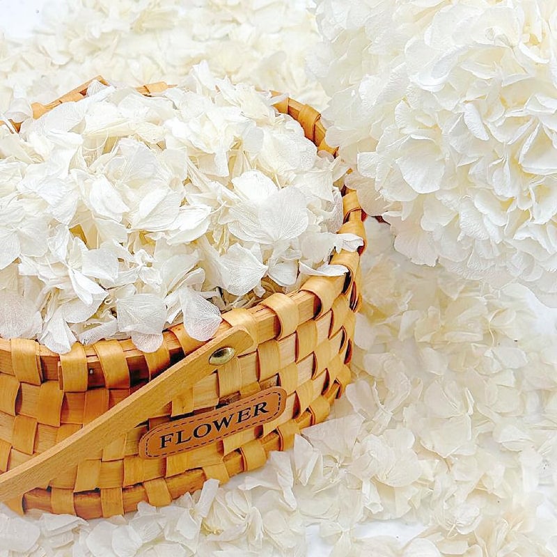 1250 Real Dried Lvory White Hydrangea Petals  088 oz Preserved Natural Flower Petals for Wedding Decor Flower Girl Party Confetti Dinner Table Centerpieces Handcrafts