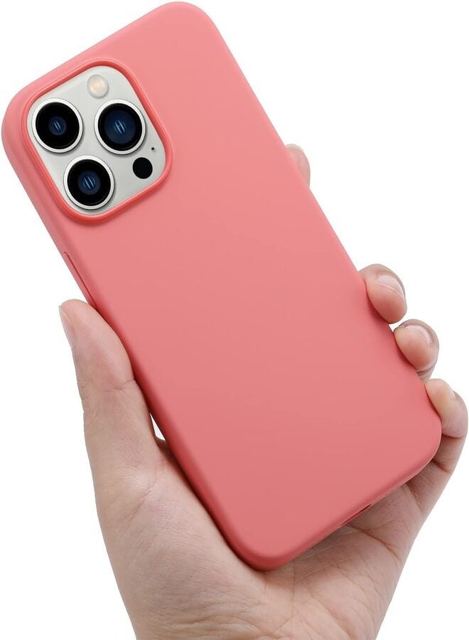 Protection case for iPhone 13 Pro max