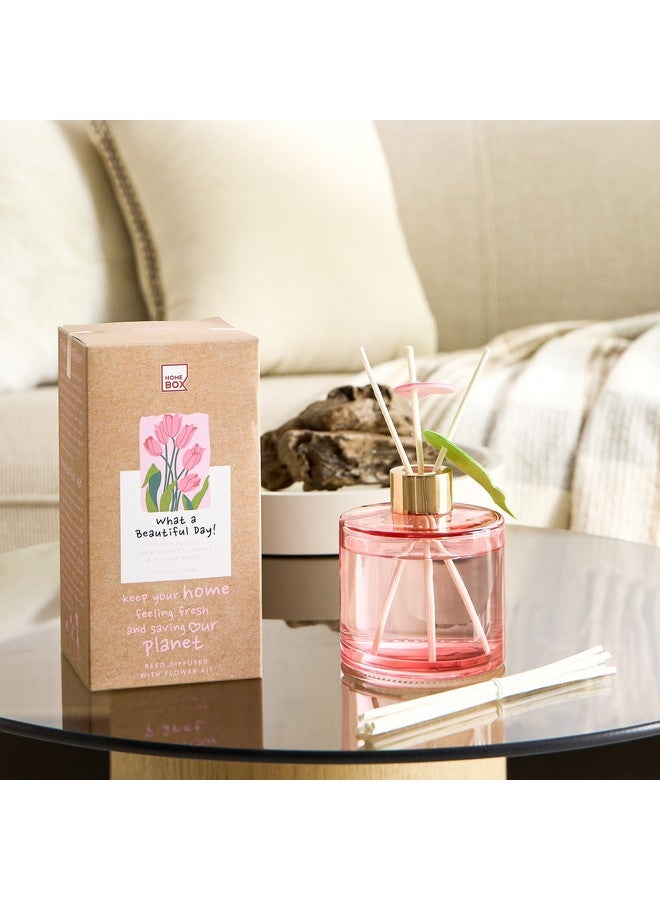 Home Box Abbey Urban Nature What A Beautiful Day Reed Diffuser 180 ml  - Image 1