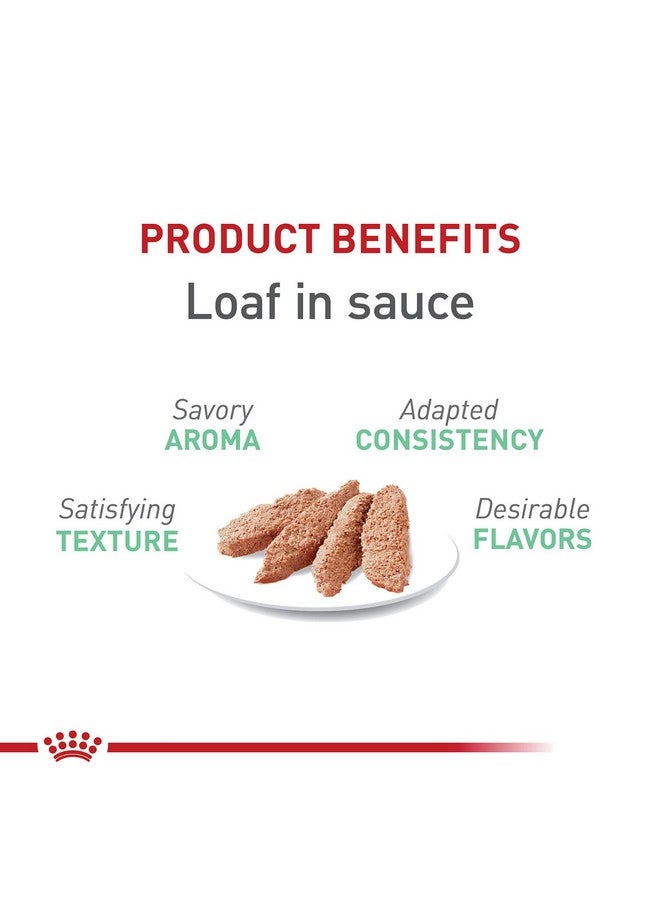 رويال كانين طعام القطط المعلب رويال كانين للعناية بالقطط من خلال الهضم، رغيف في صلصة، علبة 5.1 أونصة (24 قطعة) - Image 2