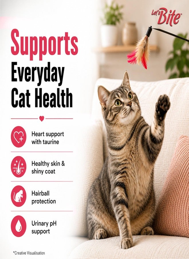 Let's Bite Let’s Bite Active Adult Dry Cat Food 1kg+ 1kg (Total 2kg) - Image 4