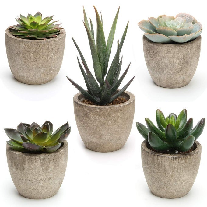 SET OF 5 ARTIFICIAL SUCCULENT PLANTS POTTED ASSORTED DECORATIVE FAUX SUCCULENT POTTED FAKE CACTUS CACTI PLANTS WITH POTS