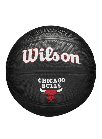 Wilson NBA Team Tribute Mini Chicago Bulls - Size 3 (mini ball) - Black