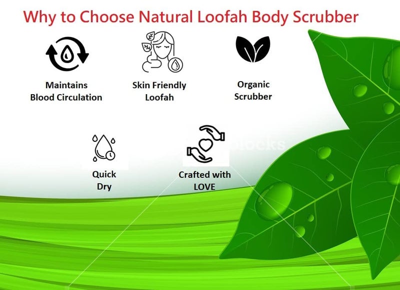 SSKR Natural Organic Body Scrub Loofah Sponge for Bathing - Pack of 1 | Size : 15 Cms Long - Image 2