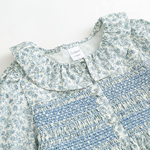 Curipeer Baby Girls Long Sleeve Floral Dress Flower Printed Smock Toddler Ruffle Dress for Autumn and Spring Blue 3T - Image 5