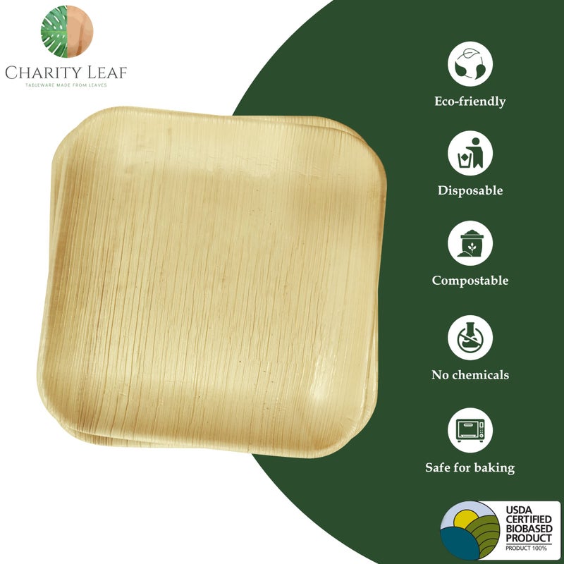 Charity Leaf Disposable Palm Leaf 9"" Square Plates (50 pieces) Bamboo Like Serving Platters  Disposable Boards  Eco-Friendly Dinnerware For Weddings  Catering  Events - Image 2