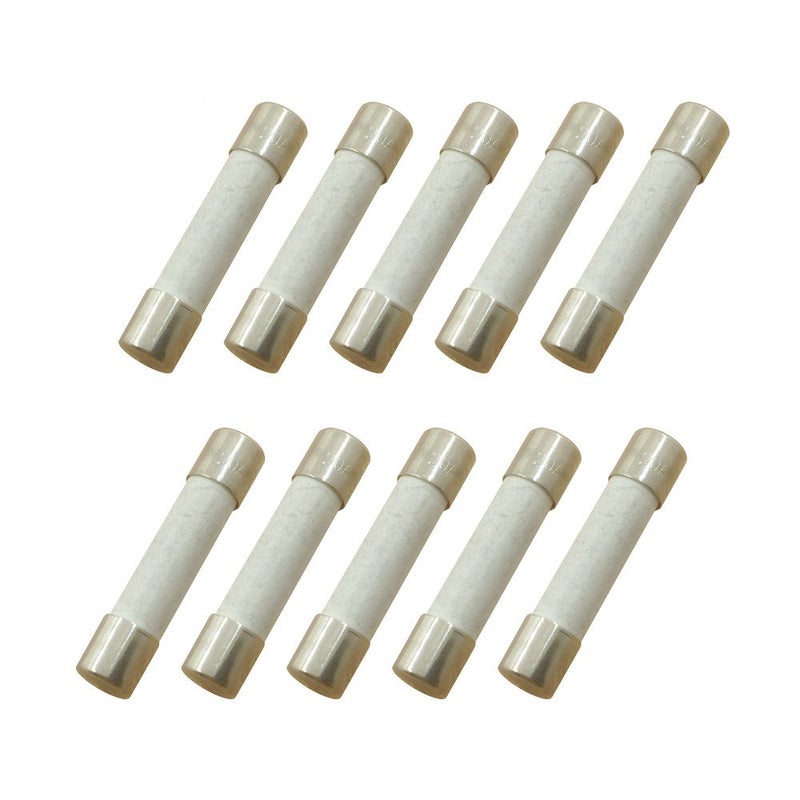 YOLISTIC Pack of 10 20 Amp SlowBlow Time Delay Fuse Ceramic 6x30mm