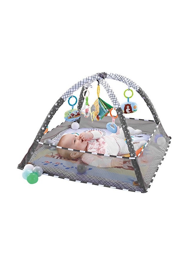 Baby Play mat Activity Gym&Ball Pit Included Balls Tummy Time Play Mat for Babies 0-12 Months,Grey. - Image 1
