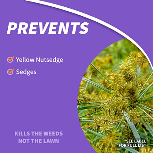 Bonide Sedge Ender, 16 oz Concentrated Weed Killer For Outdoors, Fast-Acting and Rainproof, Lawn Friendly Formula - Image 3