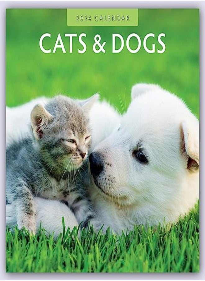 Cats & Dogs 2024 Square Wall Calendar 