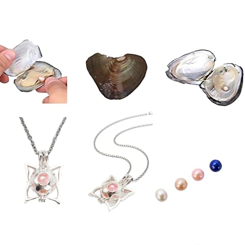 POSHOPS Natural Oyster Pearl,Freshwater Oval Pearls Cultured Oysters Love Wish Pearls DIY Necklace Making Kit, Anniversary Decoration for Jewelry Making Gifts(4PCs/Lot, Butterfly Necklace) - Image 3