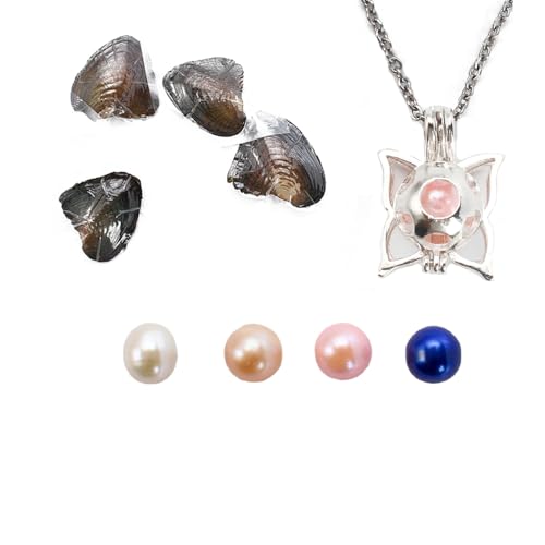 POSHOPS Natural Oyster Pearl,Freshwater Oval Pearls Cultured Oysters Love Wish Pearls DIY Necklace Making Kit, Anniversary Decoration for Jewelry Making Gifts(4PCs/Lot, Butterfly Necklace) - Image 1