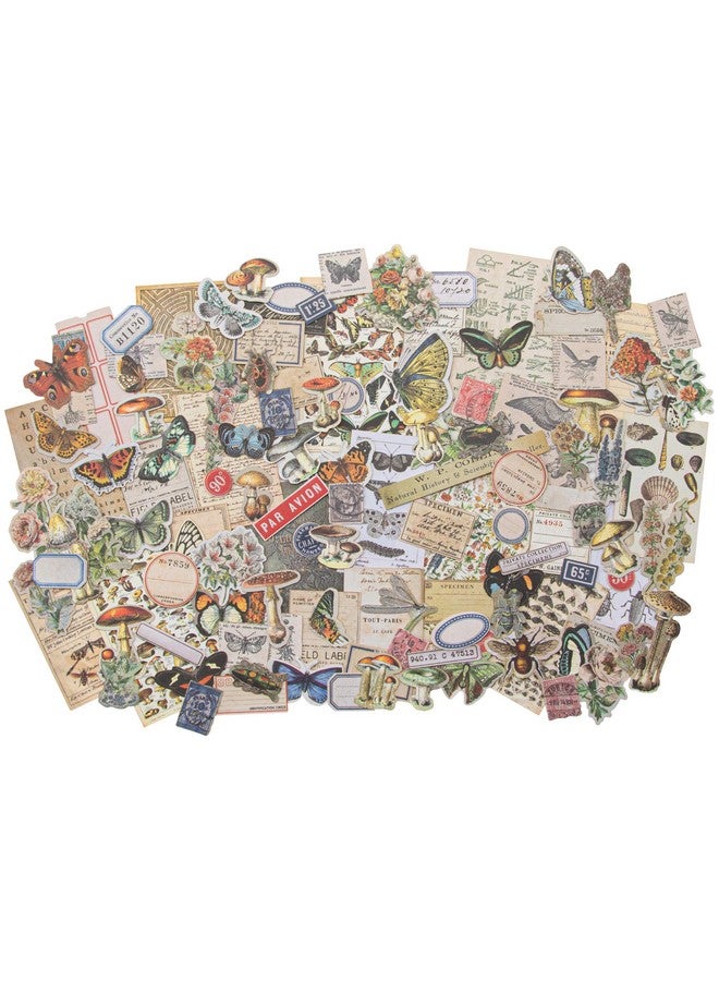 Tim Holtz Idea Ology Ephemera Snippets Id Fieldnotes Us:One Size Field Notes - Image 2