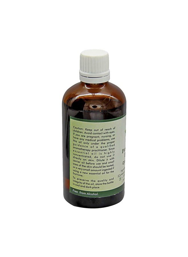 r v essential Lemongrass Essential Oil | Cymbopogon Citratus | Lemongrass Oil | for Hair | for Body | for Massage | 100% Pure Natural | Steam Distilled | Therapeutic Grade | 15ml | 0.507oz by R V Essential  - Image 2