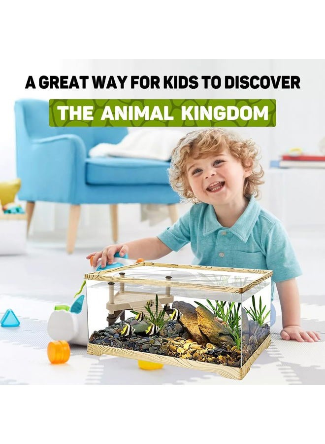 KAKOOTI Turtle Tank - Image 5