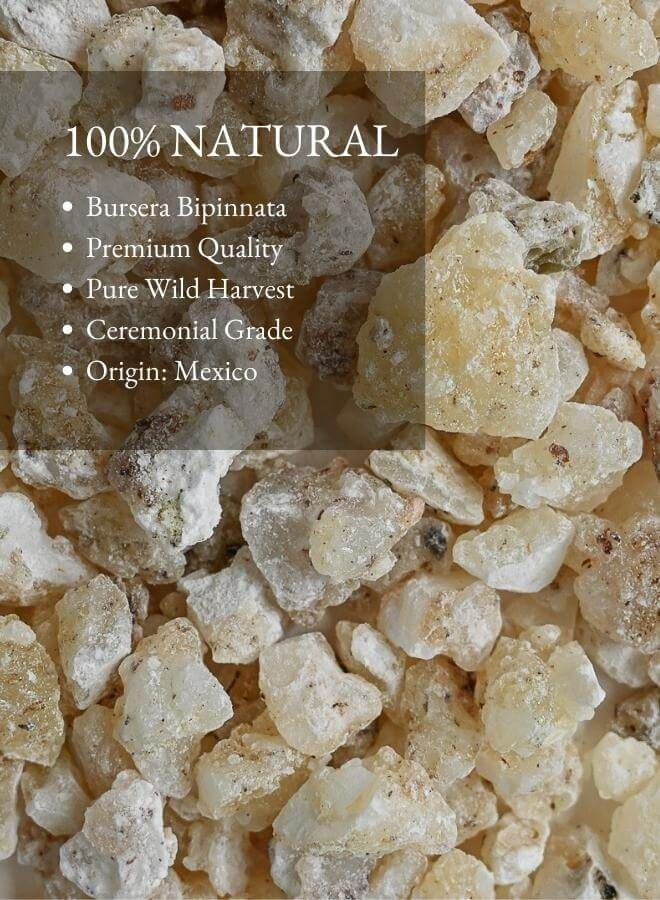 MAISON ETHERIQUE White Copal (Bursera Bipinnata) - 50g, Fresh Forest Aroma Resin for Meditation and Aromatherapy from Oaxaca, Mexico - Image 3