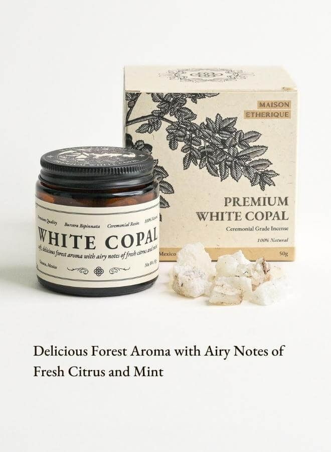 MAISON ETHERIQUE White Copal (Bursera Bipinnata) - 50g, Fresh Forest Aroma Resin for Meditation and Aromatherapy from Oaxaca, Mexico - Image 2