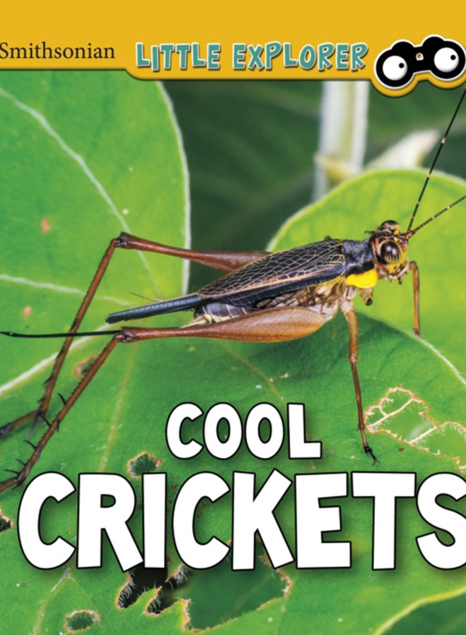 Cool Crickets