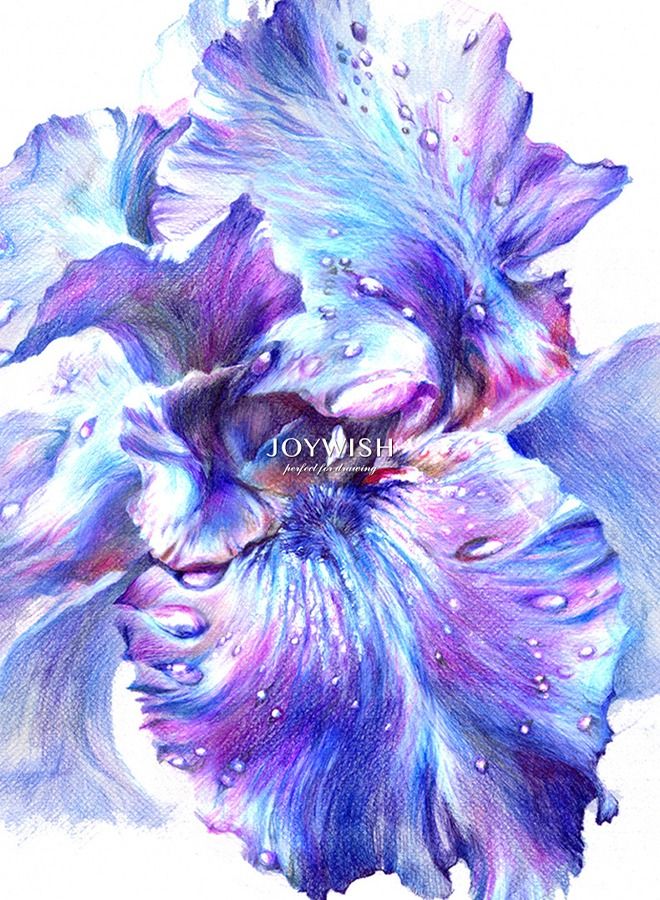 general 36 color stationery color Lead Pencil Wholesale Color pencil Student color pencil set drawing prize paper box - Image 5