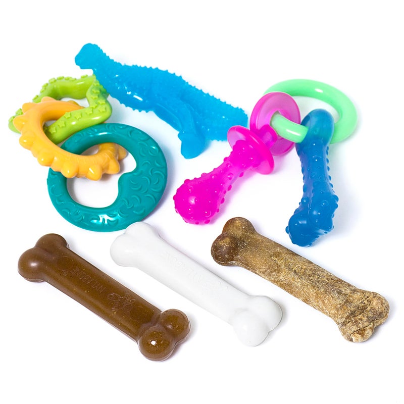 Nylabone New Puppy Starter Kit, 5 Chew Toys and 1 Natural Treat for Puppies, Multi Color, Bacon & Chicken Flavor, Small Dogs - Up to 25 lbs., 6 Pack - Image 1