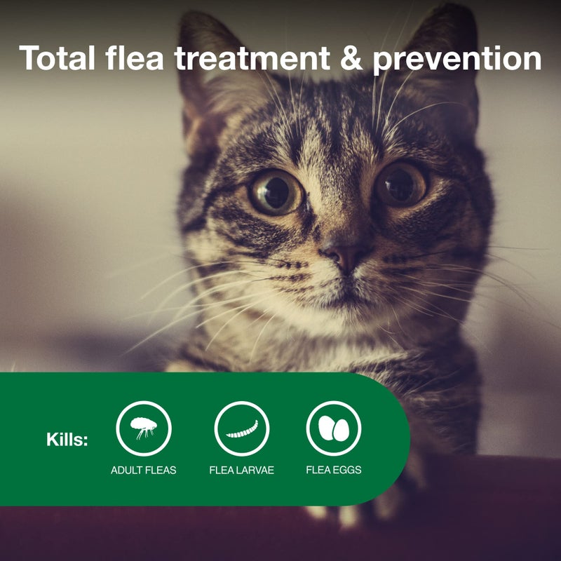 Advantage II Small Cat Vet-Recommended Flea Treatment & Prevention | Cats 5-9 lbs. | 4-Month Supply - Image 3
