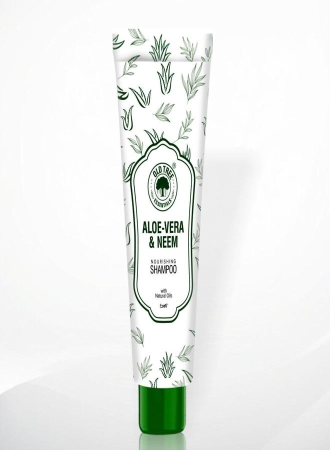 أولد تري شامبو أولد تري ألو نيم الفندقي 20 مل (عبوة من 100 أنبوب شامبو) - مجموعة أدوات استحمام فندقية بحجم مناسب للسفر، مثالية لغرف الفنادق، ودور الضيافة، وقاعات الأفراح، والمستشفيات | مستلزمات ولوازم الفنادق - Image 1