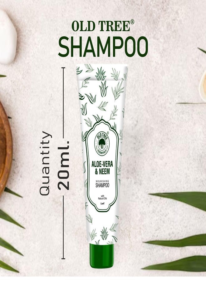 أولد تري شامبو أولد تري ألو نيم الفندقي 20 مل (عبوة من 100 أنبوب شامبو) - مجموعة أدوات استحمام فندقية بحجم مناسب للسفر، مثالية لغرف الفنادق، ودور الضيافة، وقاعات الأفراح، والمستشفيات | مستلزمات ولوازم الفنادق - Image 3