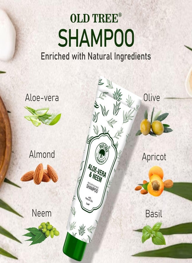 أولد تري شامبو أولد تري ألو نيم الفندقي 20 مل (عبوة من 100 أنبوب شامبو) - مجموعة أدوات استحمام فندقية بحجم مناسب للسفر، مثالية لغرف الفنادق، ودور الضيافة، وقاعات الأفراح، والمستشفيات | مستلزمات ولوازم الفنادق - Image 4