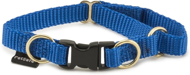 PetSafe KeepSafe Breakaway Dog Collar - Adjustable, Durable, and Outdoor-Safe - Small, 3/4 in. Wide, Royal Blue - Image 1