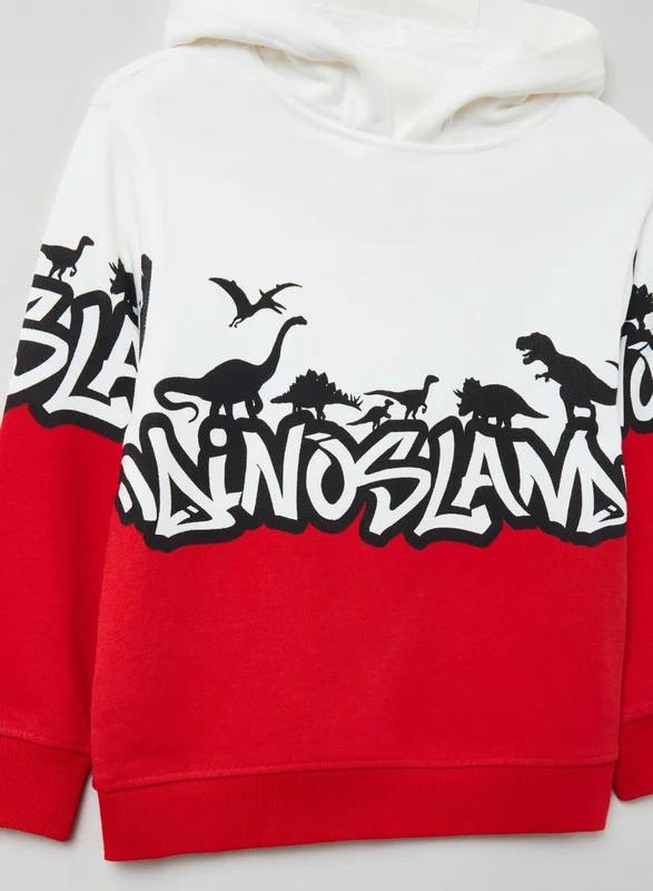 Ovs Cotton hoodie with print