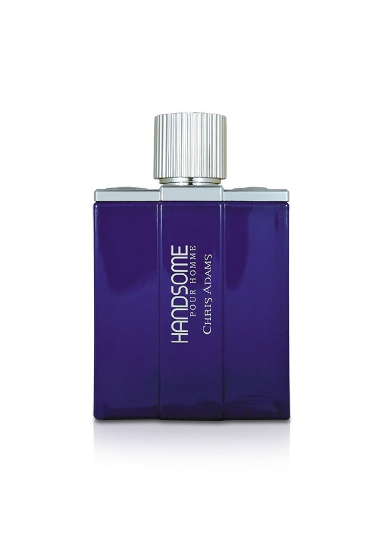 Chris Adams HANDSOME POUR HOMME EDP 100ml  - Image 1