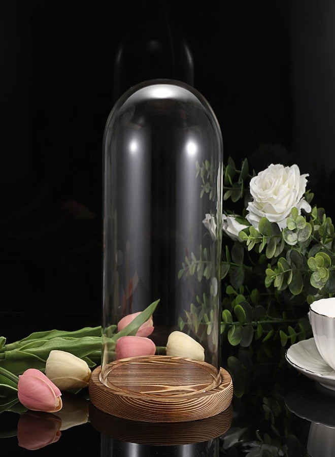 JUXYES Pack of 2 Glass Display Dome Cloche with Solid Wood Base, Clear Dome Bell Terrarium Jar Glass Cloche Bell Jar Display for Plants Collectible Figure - Image 5