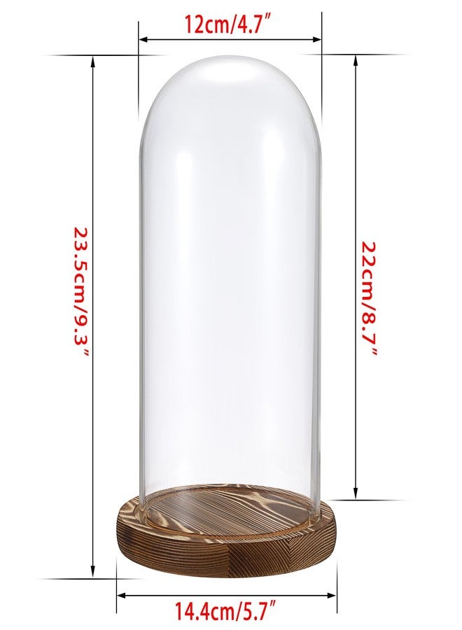 JUXYES Pack of 2 Glass Display Dome Cloche with Solid Wood Base, Clear Dome Bell Terrarium Jar Glass Cloche Bell Jar Display for Plants Collectible Figure - Image 2