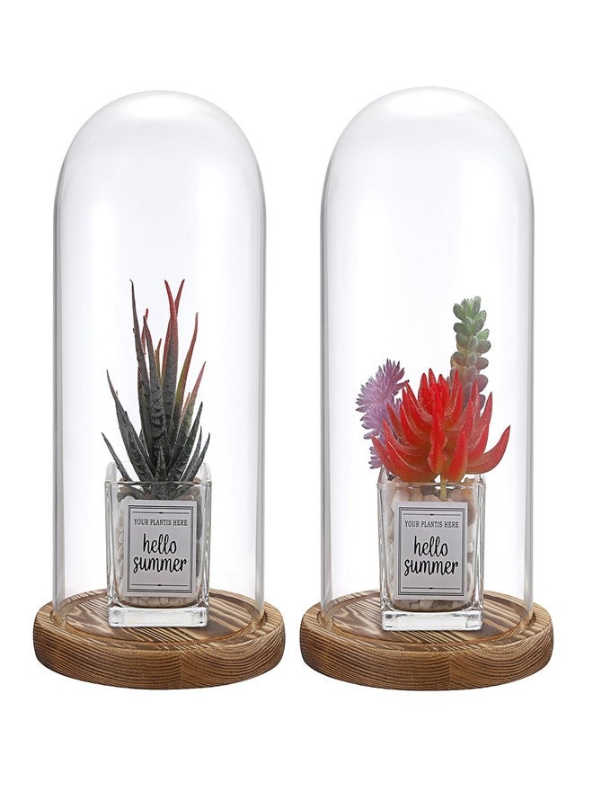 JUXYES Pack of 2 Glass Display Dome Cloche with Solid Wood Base, Clear Dome Bell Terrarium Jar Glass Cloche Bell Jar Display for Plants Collectible Figure - Image 1