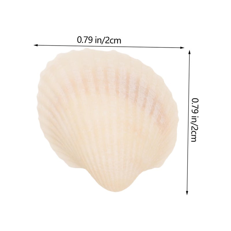 DIY Craft Seashells Natural White Mixed Sizes For Home Decor And Crafting Supplies - Image 5