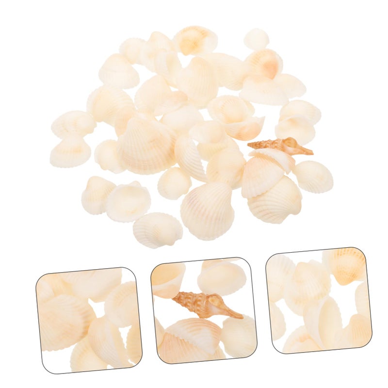 DIY Craft Seashells Natural White Mixed Sizes For Home Decor And Crafting Supplies - Image 3