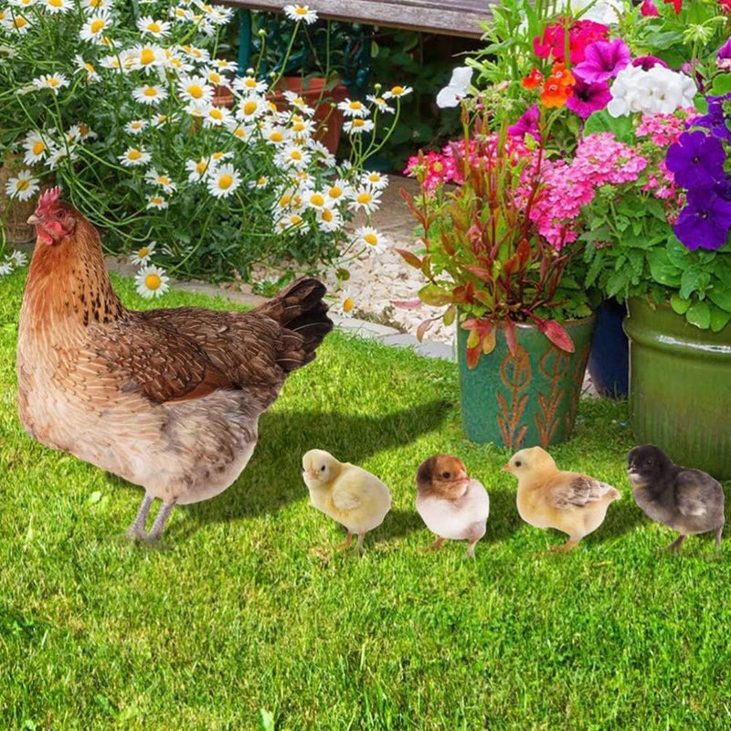 woobles 5pcs Chicken Yard Art Decor Chicken Garden Stakes Easter Chick Yard Signs Acrylic Chicken Family Garden Silhouette for Garden Courtyard Decoration - Image 2