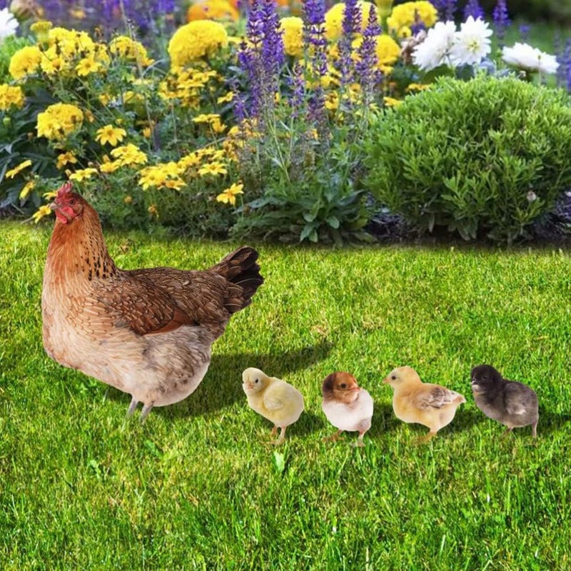 woobles 5pcs Chicken Yard Art Decor Chicken Garden Stakes Easter Chick Yard Signs Acrylic Chicken Family Garden Silhouette for Garden Courtyard Decoration - Image 4