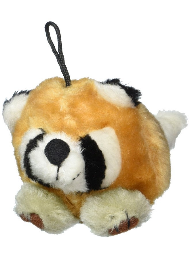 لعبة دوسكوسيل 291190 بودا سكواتر راكون للحيوانات الأليفة من بيتميت، متوسطة الحجم