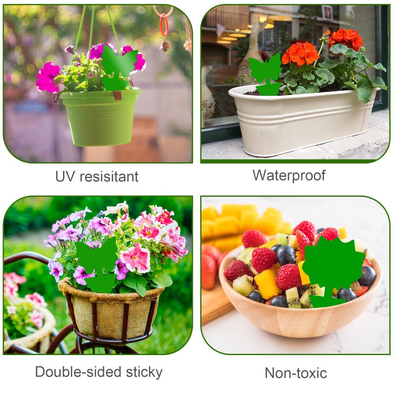 Boromine Fruit Fly Traps, 100 Pack Green Sticky Traps, Fungus Gnat Traps, Plant Fly Stickers for Indoor and Outdoor Use Protect The Plant - Image 5